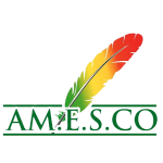 AMESCO